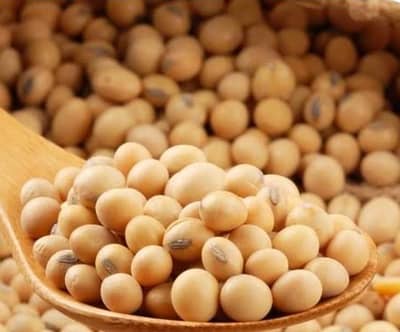 soya bean whole sale rate