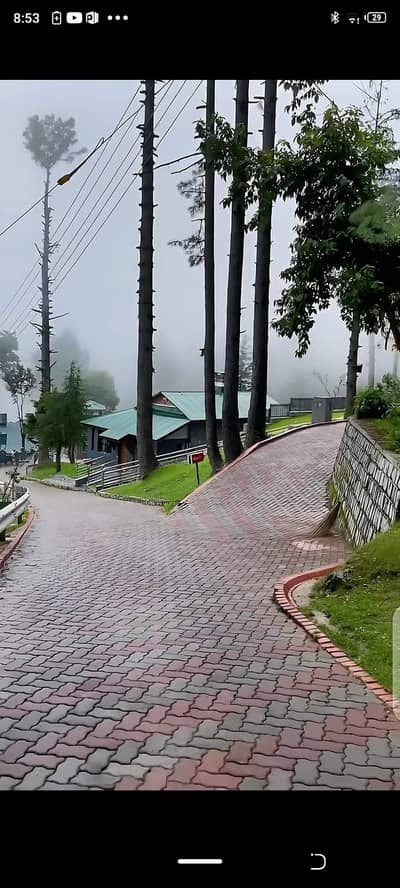 Need job at any restaurant hotel cafeteria