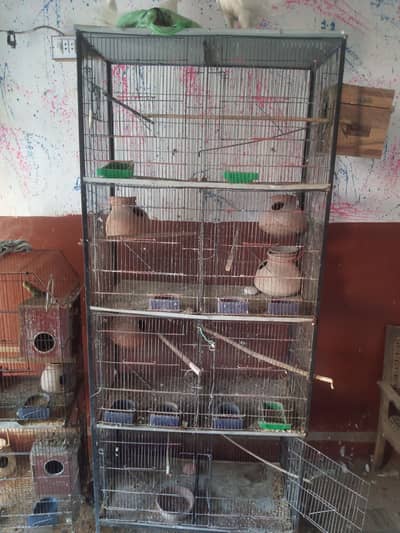 cage & and lakka kabotar