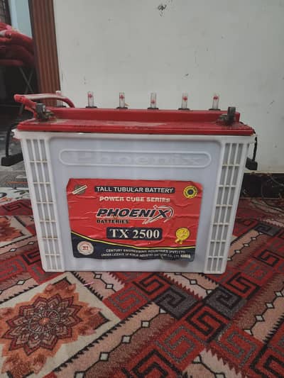 Phoenix TX-2500 Tall Tubular Battery | Excellent Condition