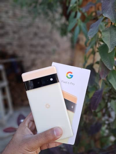 Google Pixel 6 Pro