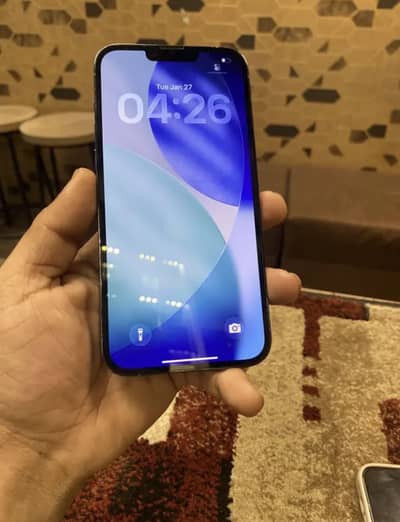 iPhone 13 Pro max 256Gb bypass