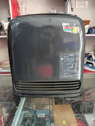 Rinnai fan gas Heater