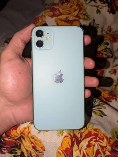 iPhone 11 PTA approved