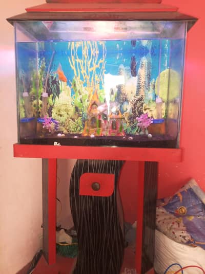 2.5 fit aquarium New karachi