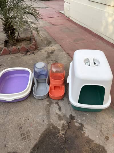 Pet accessories cat others