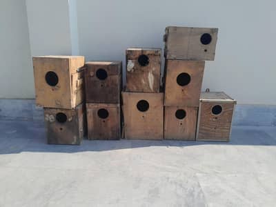 Love bird boxes