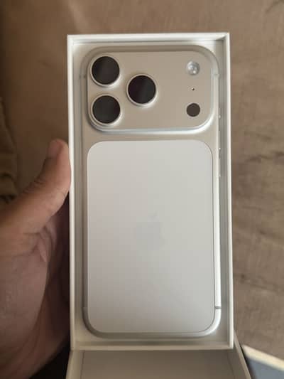 17 pro 256 gb silver