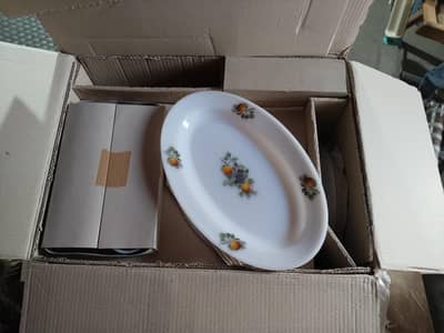 brand new Arcopal dinner set 72 pieces, made in France