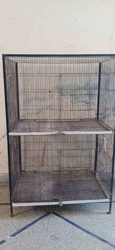 Bird Cage