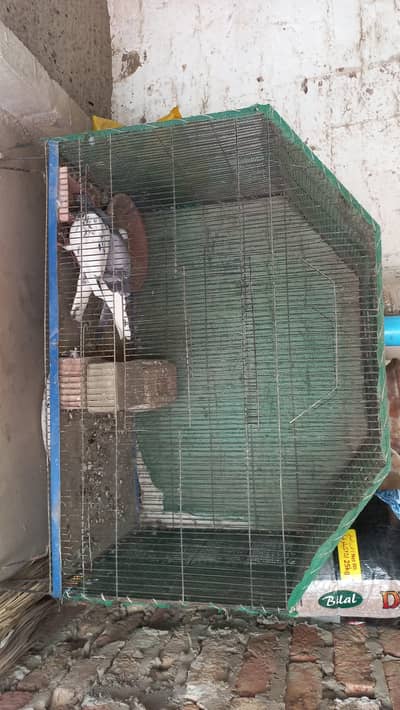 cage need and clean look like new