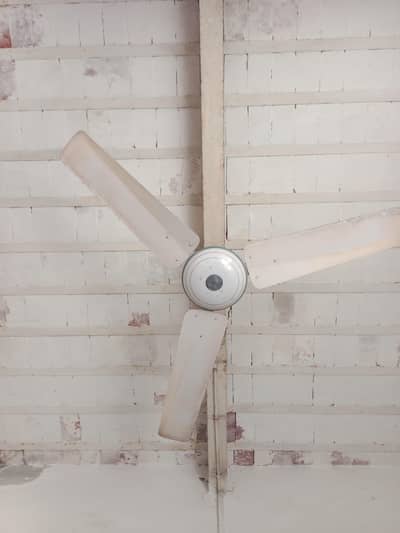 ceiling fans copper mein  hai