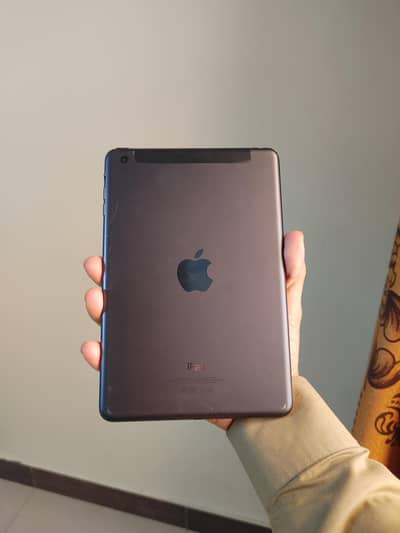 iPad mini Japanese set