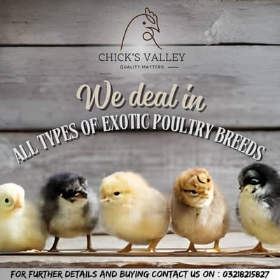 AL ARE HEALTHY AND ACTIVE