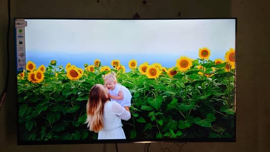 LED/Haier Google TV / Haier LED TV with Box / Complete accessories