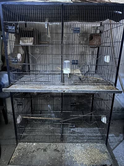 Steel parrot cage