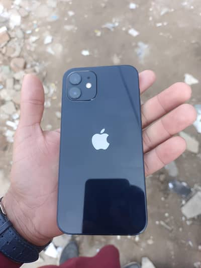 I phone 12 non pta fu