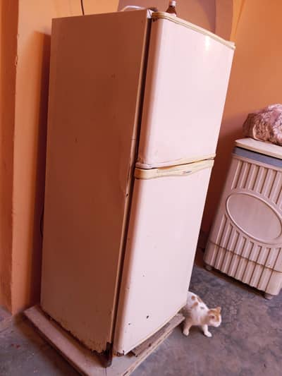 fridge ok hai bilkul