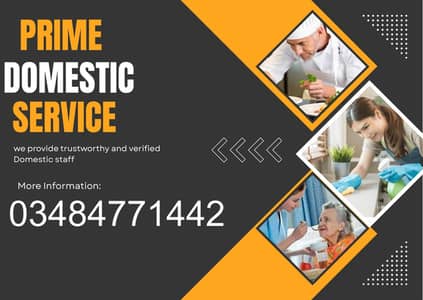 Maid /Chefs /Cook/ Baby sitter /Patient attended/Driver