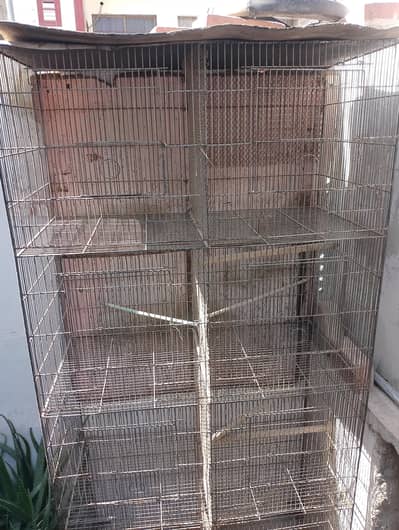 Birds Cage