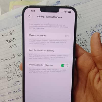 iPhone 13 Pro Max JV | 87% Battery Health | Green | Waterpack