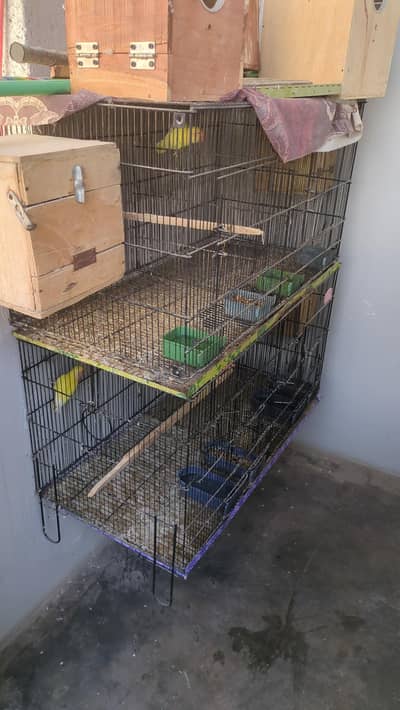 cage for sell