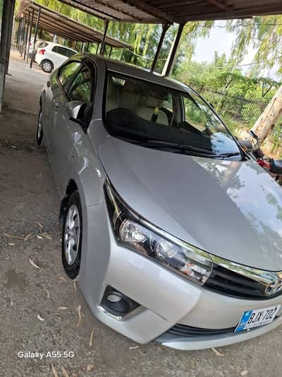 total jean bumper 2 bumper shrooms contdation