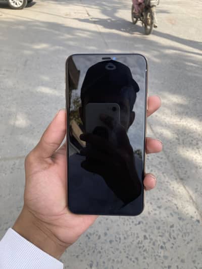 11 pro max pta Duol physical