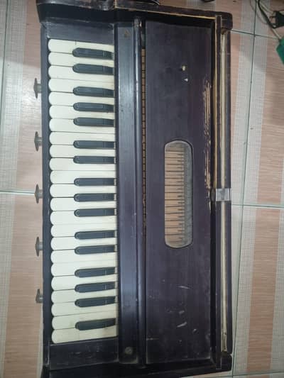 Indian Palitana Harmonium