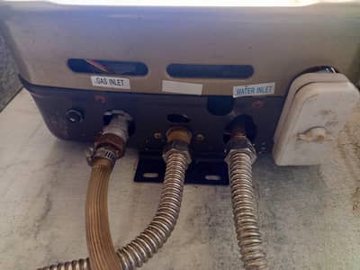 Golden Fuji geyser for sale