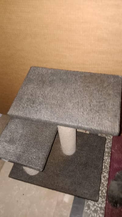 cat scratching post