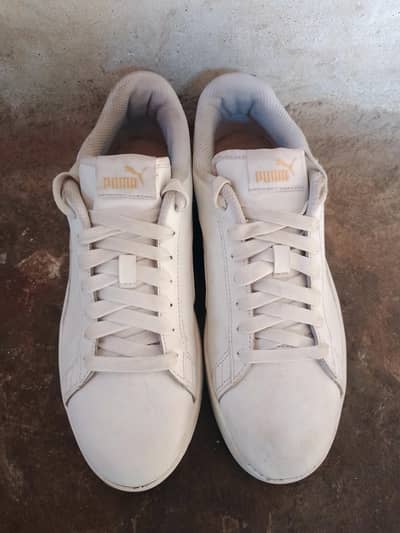 Original Puma Smash v2 L (White/Peacoat) Size 8 – Good Condition