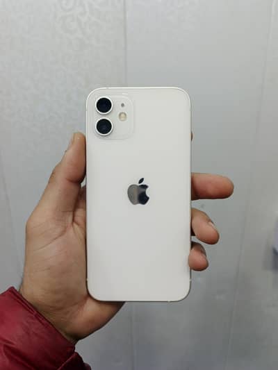 iPhone 12 64-GB 10/10