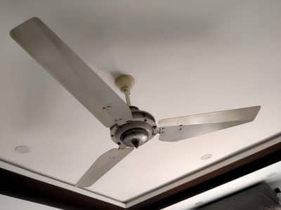 3 ceiling fans in very good condition