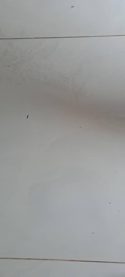 sales person for counter