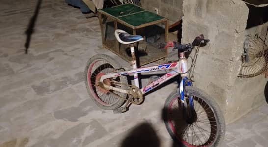 Continental Japanese cycle