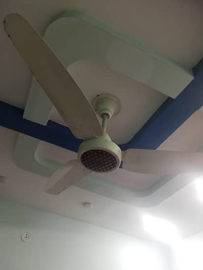 GFC 56" ceiling fans platinum series