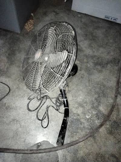 Fan for sale