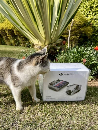 DJI MINI 4 PRO 45 MINUTES COMBO PLUS NEW 0 METER
