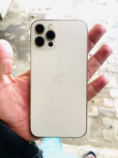 Iphone 12 pro waterpack