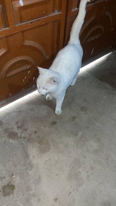 jis bahi na Lena ha hum sa rabta kraa