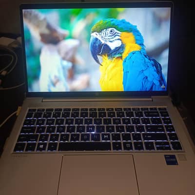 HP ProBook 440 G8 i5-1135G7 8GB RAM 238GB SSD Intel Iris Xe Laptop