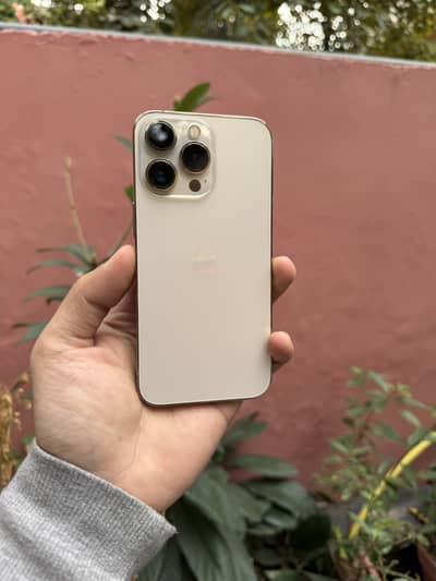 iPhone 13pro Approved