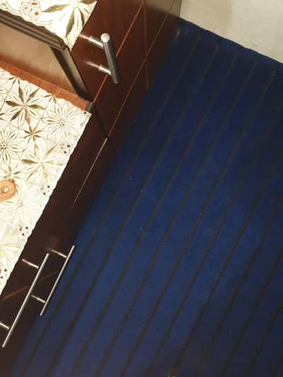 blue carpet grid lines