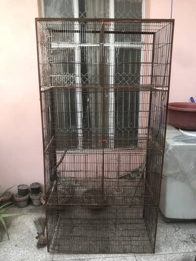 Cage        . . .                    1