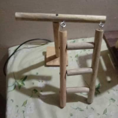 birds toys & play stand available