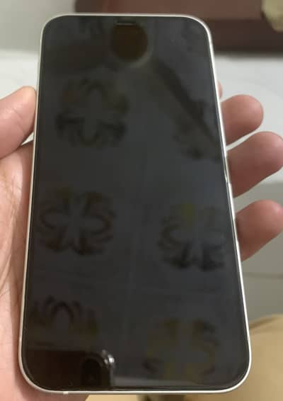 Iphone 12 pta approved