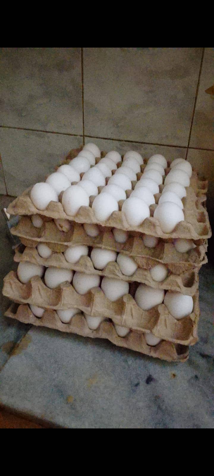 Eggss 0