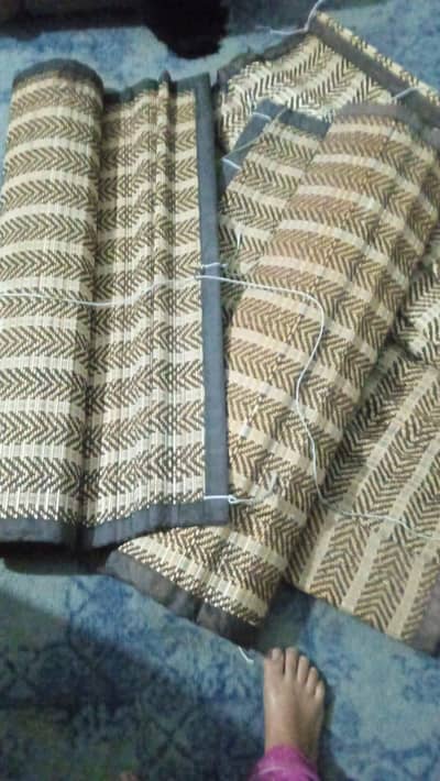 chicks in good condition