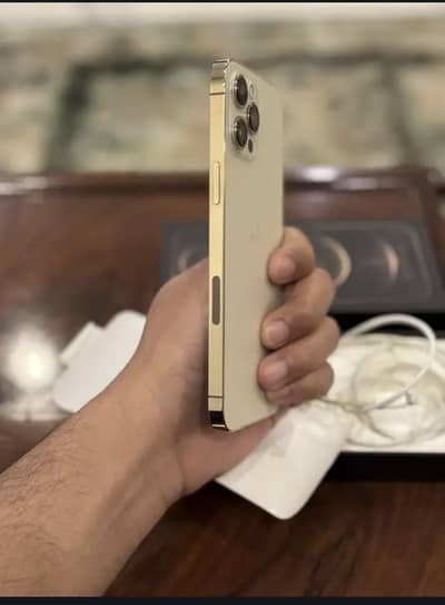 12 pro max pta approved